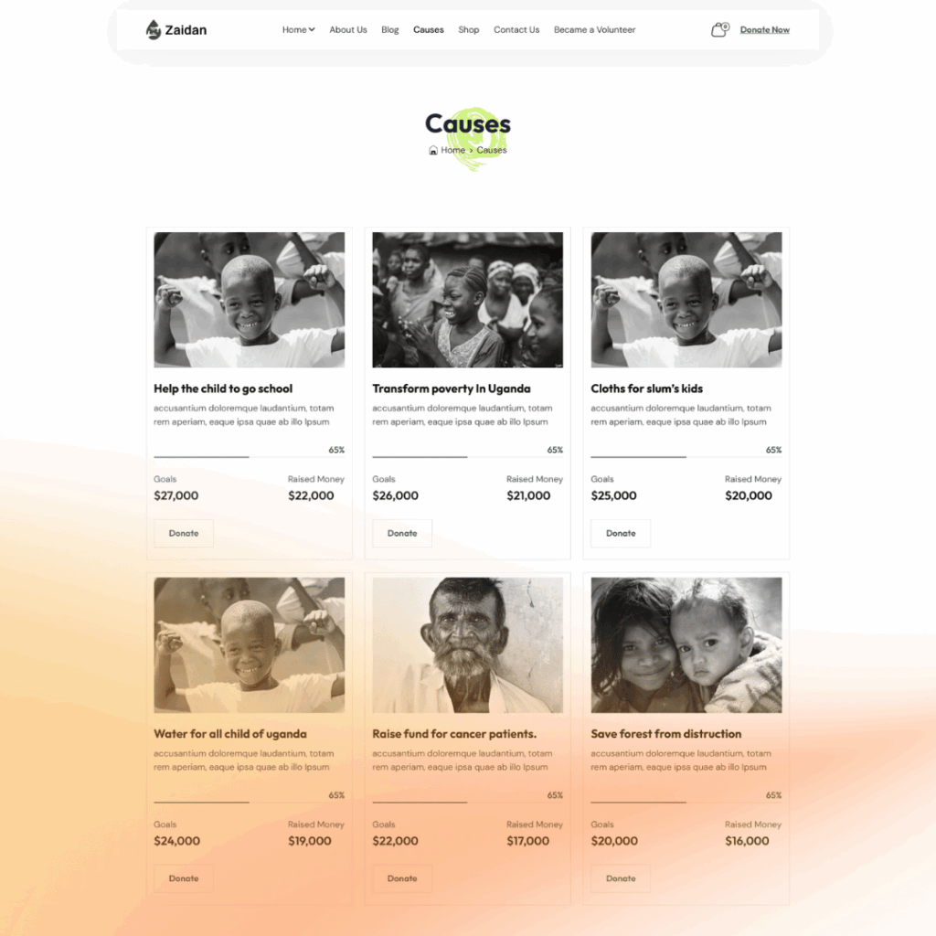 donation web